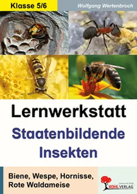 Wertenbroch |  Lernwerkstatt Staatenbildende Insekten | Buch |  Sack Fachmedien