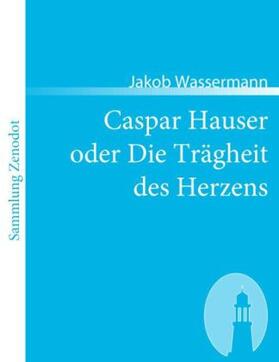 Wassermann |  Caspar Hauser oder Die Trägheit des Herzens | Buch |  Sack Fachmedien
