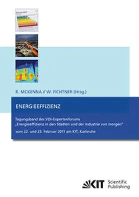 McKenna / Fichtner |  Energieeffizienz : Tagungsband des VDI-Expertenforums | Buch |  Sack Fachmedien