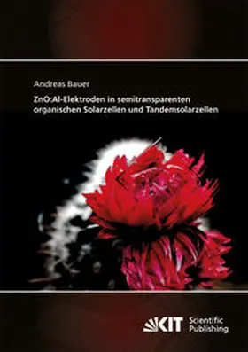 Bauer |  ZnO:Al-Elektroden in semitransparenten organischen Solarzellen und Tandemsolarzellen | Buch |  Sack Fachmedien