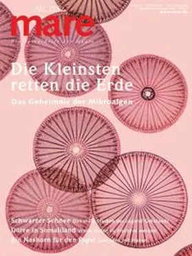 Gelpke |  mare - Die Zeitschrift der Meere / No. 155 / Die Kleinsten retten die Erde | Buch |  Sack Fachmedien