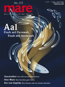  mare - Die Zeitschrift der Meere / No. 175 | Buch |  Sack Fachmedien