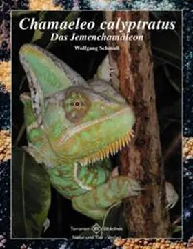 Schmidt |  Chamaeleo calyptratus | Buch |  Sack Fachmedien