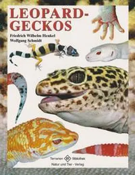 Henkel / Schmidt / Michael |  Leopardgeckos | Buch |  Sack Fachmedien