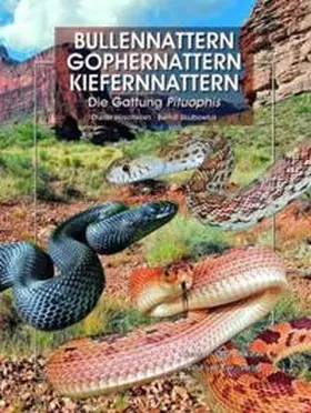 Hirschkorn / Skubowius |  Bullennattern, Gophernattern und Kiefernnattern | Buch |  Sack Fachmedien