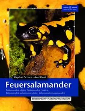 Schorn / Kwet |  Feuersalamander | Buch |  Sack Fachmedien