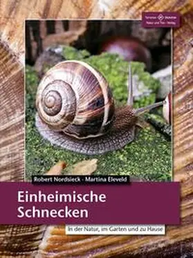 Nordsiek / Nordsieck / Brugsch |  Einheimische Schnecken | Buch |  Sack Fachmedien