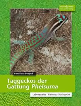 Berghof | Taggeckos der Gattung Phelsuma | Buch | 978-3-86659-240-7 | sack.de