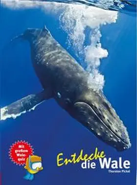 Pickel |  Entdecke die Wale | Buch |  Sack Fachmedien