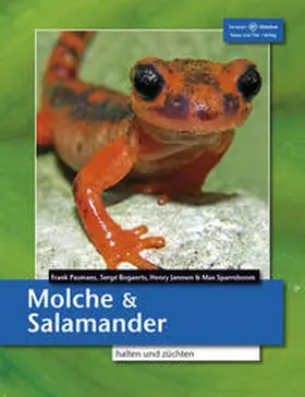 Pasmans / Bogaerts / Janssen |  Molche und Salamander | Buch |  Sack Fachmedien