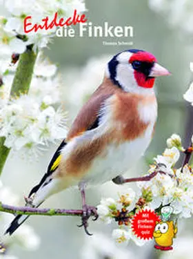 Schmidt |  Entdecke die Finken | Buch |  Sack Fachmedien
