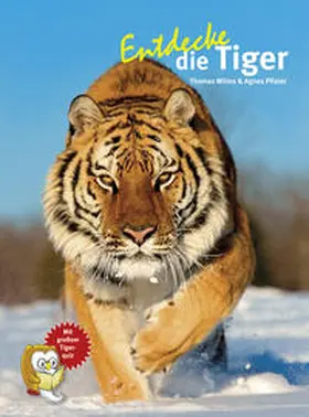 Wilms |  Entdecke die Tiger | Buch |  Sack Fachmedien