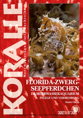 Knop |  Florida-Zwergseepferdchen im Meerwasseraquarium | eBook | Sack Fachmedien