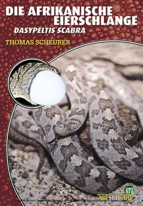 Scheurer |  Die Afrikanische Eierschlange | eBook | Sack Fachmedien