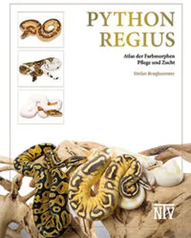 Broghammer |  Python regius | Buch |  Sack Fachmedien