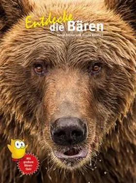 Bitter / Amstutz / Bittner | Entdecke die Bären | Buch | 978-3-86659-488-3 | sack.de