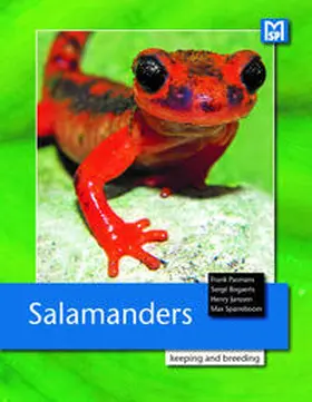 Pasmans / Bogarts / Janssen | Salamanders | Buch | 978-3-86659-497-5 | sack.de