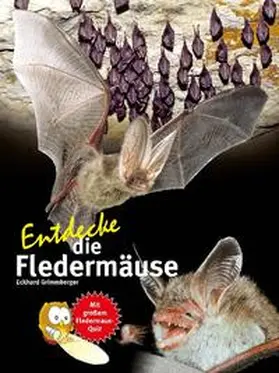 Grimmberger |  Entdecke die Fledermäuse | Buch |  Sack Fachmedien