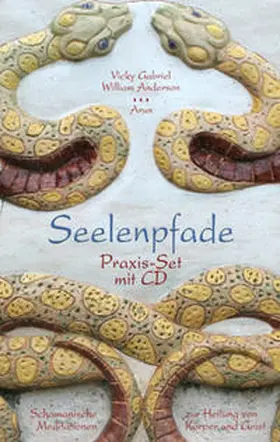Gabriel / Anderson |  Seelenpfade Praxis-Set | Buch |  Sack Fachmedien