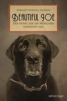 Saunders |  Beautiful Joe | Buch |  Sack Fachmedien