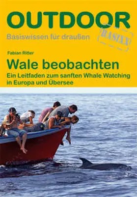 Ritter |  Wale beobachten | Buch |  Sack Fachmedien