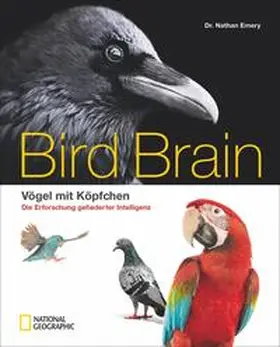 Emery |  Bird Brain | Buch |  Sack Fachmedien