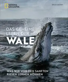Skerry |  Das geheime Leben der Wale | Buch |  Sack Fachmedien