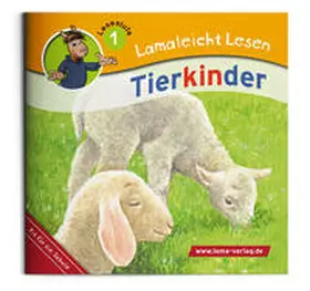 Kuffer |  Lamaleicht Lesen | Buch |  Sack Fachmedien
