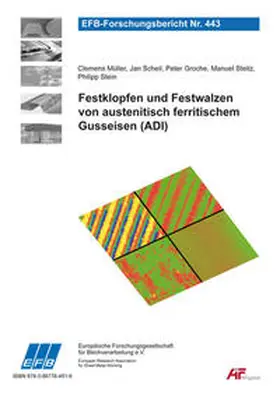 Müller / Scheil / Groche |  Festklopfen und Festwalzen von austenitisch ferritischem Gusseisen (ADI) | Buch |  Sack Fachmedien