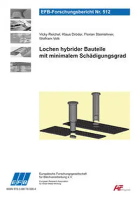 Dröder / Reichel / Volk |  Lochen hybrider Bauteile mit minimalem Schädigungsgrad | Buch |  Sack Fachmedien