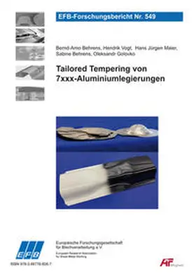 Flügge / Staschko / Fuchs |  Ermüdungsfestigkeit halbhohlstanzgenieteter FKV-Metall-Hybridverbindungen | Buch |  Sack Fachmedien