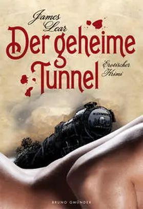 Lear |  Der geheime Tunnel | Buch |  Sack Fachmedien