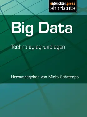 Schrempp |  Big Data | eBook | Sack Fachmedien