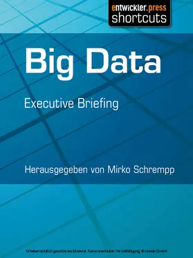 Schrempp |  Big Data | eBook | Sack Fachmedien