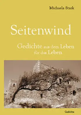 Stark |  Seitenwind | Buch |  Sack Fachmedien