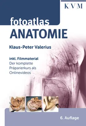 Valerius |  Fotoatlas Anatomie | Buch |  Sack Fachmedien