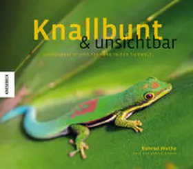 Wothe / Rasper |  Knallbunt und unsichtbar | Buch |  Sack Fachmedien