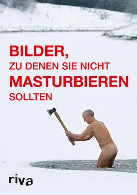 Johnson / Hibbert |  Bilder, zu denen Sie nicht masturbieren sollten | Buch |  Sack Fachmedien