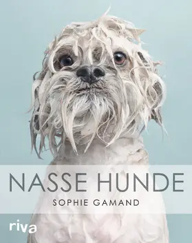 Gamand |  Nasse Hunde | Buch |  Sack Fachmedien