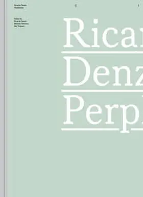 Denzer |  Perplexities | Buch |  Sack Fachmedien