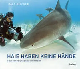 Kiefner |  Haie haben keine Hände - Spannende Erlebnisse mit Haien | Buch |  Sack Fachmedien