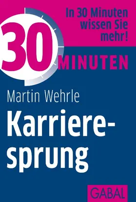 Wehrle |  30 Minuten Karrieresprung | Buch |  Sack Fachmedien