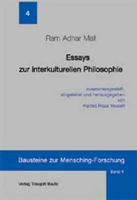 Mall |  Essays zur interkulturellen Philosophie | eBook | Sack Fachmedien