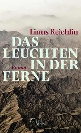 Reichlin |  Das Leuchten in der Ferne | Buch |  Sack Fachmedien