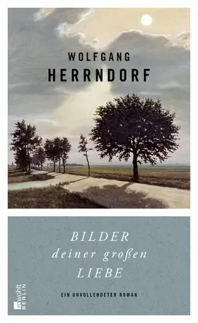 Herrndorf | Bilder deiner großen Liebe | Buch | 978-3-87134-791-7 | www2.sack.de
