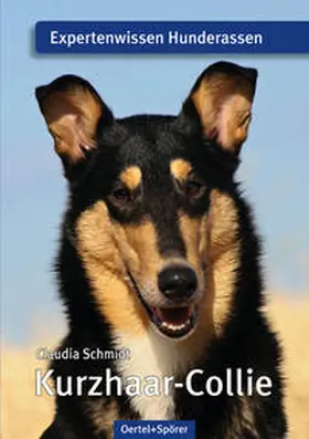 Schmidt |  Kurzhaar-Collie | Buch |  Sack Fachmedien