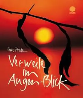 Stutz |  Verweile im  Augen-Blick | Buch |  Sack Fachmedien