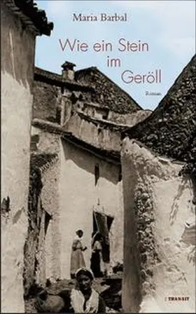 Barbal |  Wie ein Stein im Geröll | Buch |  Sack Fachmedien