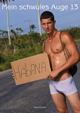 Hopf / Schock |  Mein schwules Auge 13 | Buch |  Sack Fachmedien