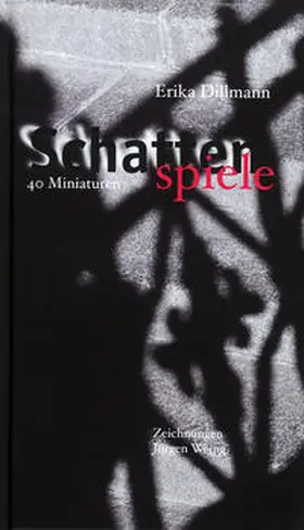 Dillmann |  Schattenspiele | Buch |  Sack Fachmedien
